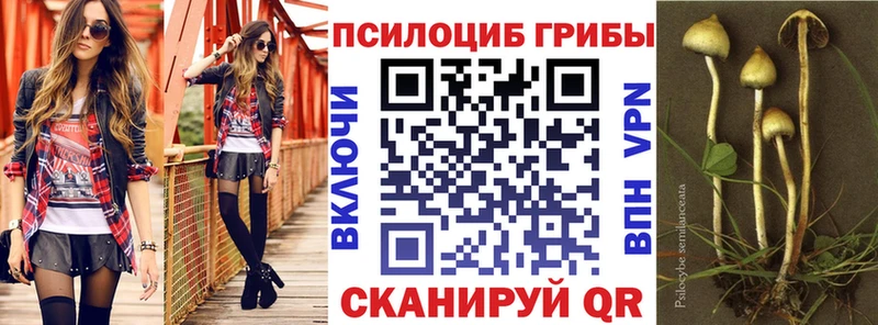 Галлюциногенные грибы ЛСД купить наркотики цена Лермонтов
